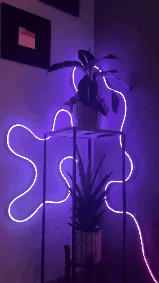 NeonGlow Smart Rope Strip Light with Music Syncing (5 Meters) by Cooksyy